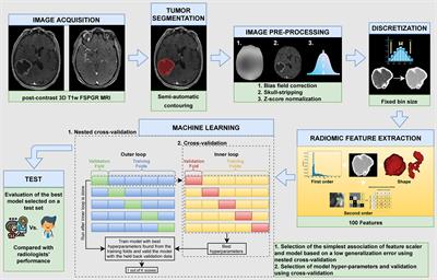 Development of a Machine Learning Classifier Based on Radiomic Features Extracted From Post-Contrast 3D T1-Weighted MR Images to Distinguish Glioblastoma From Solitary Brain Metastasis